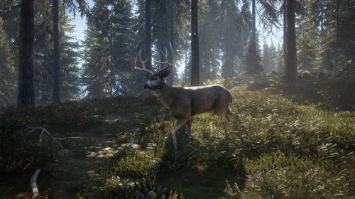 the-hunter-call-of-the-wild-pc-download-