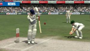 cricket-19-pc-download