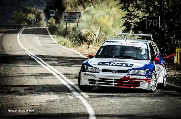 DiRT Rally 2.0 Pc Download